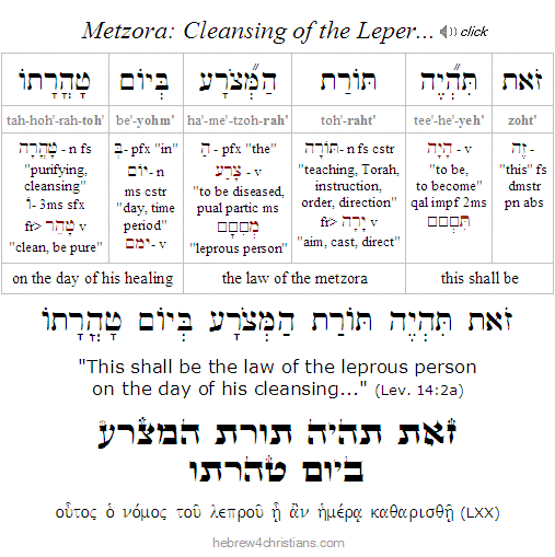 Lev. 14:2a Hebrew lesson