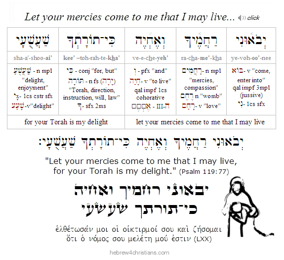 Psalm 119:77 Hebrew lesson