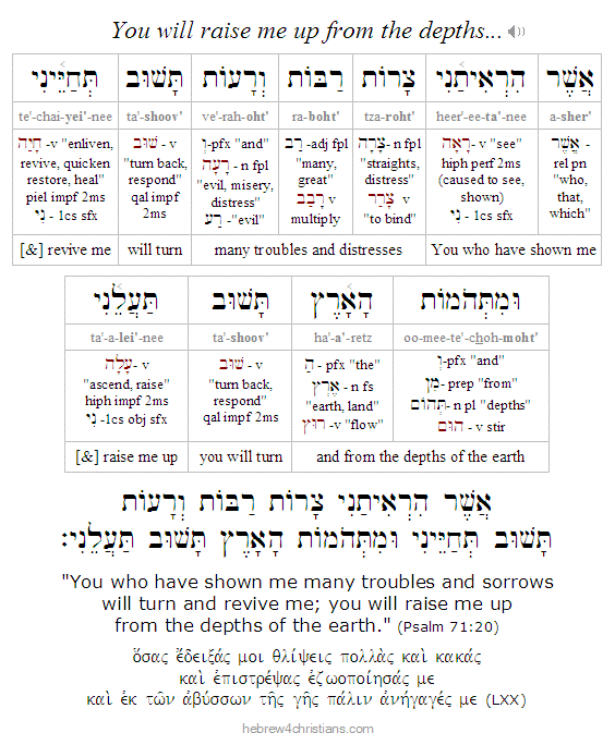 Psalm 71:20 Hebrew lesson