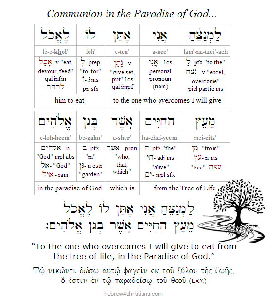 Rev. 2:7 Hebrew Lesson