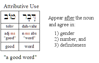 Attributive Usage