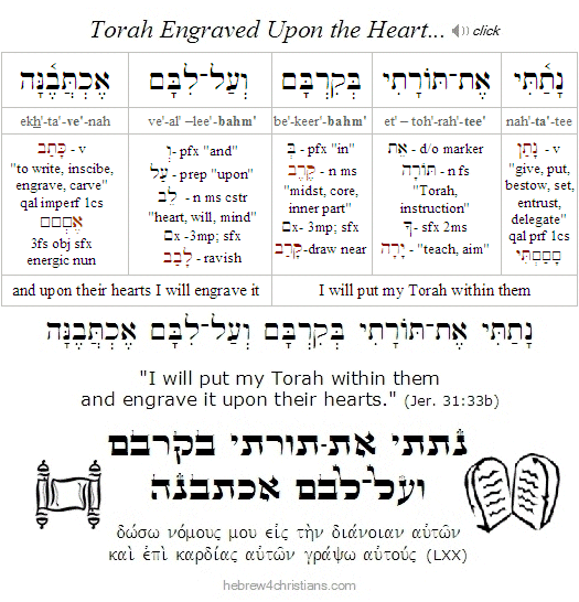 Jeremiah 33:31 Hebrew Lesson