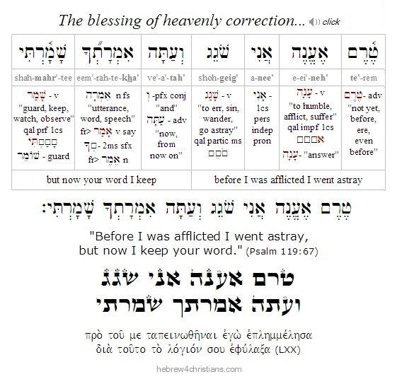 Psalm 119:67 Hebrew Lesson