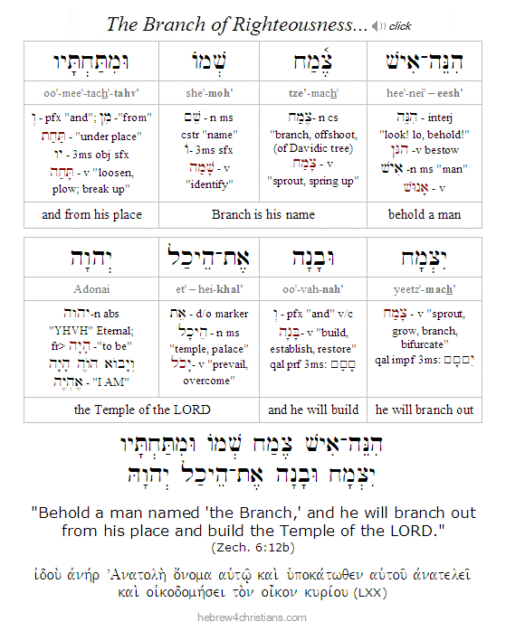 Zechariah 6:12 Hebrew lesson