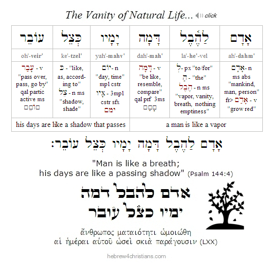 Psalm 144:4 Hebrew lesson