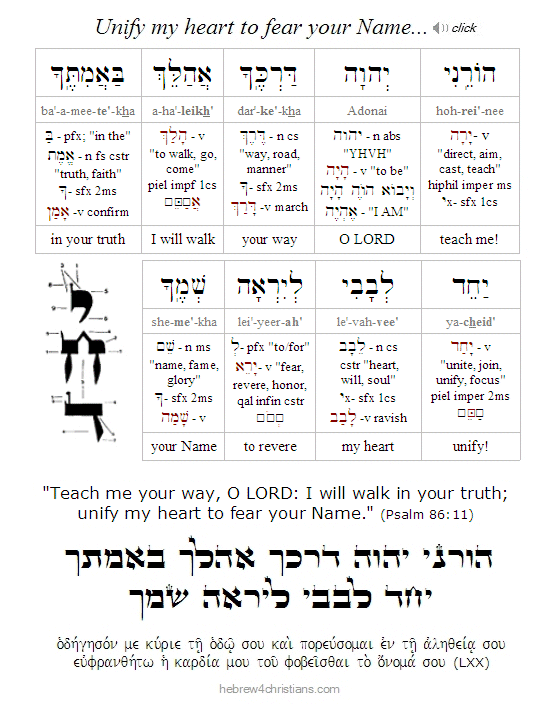 Psalm 86:11 Hebrew Analysis