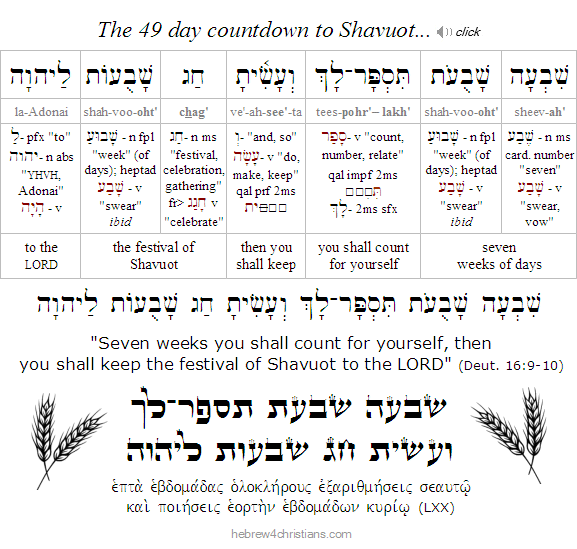 Deut. 16::9-10